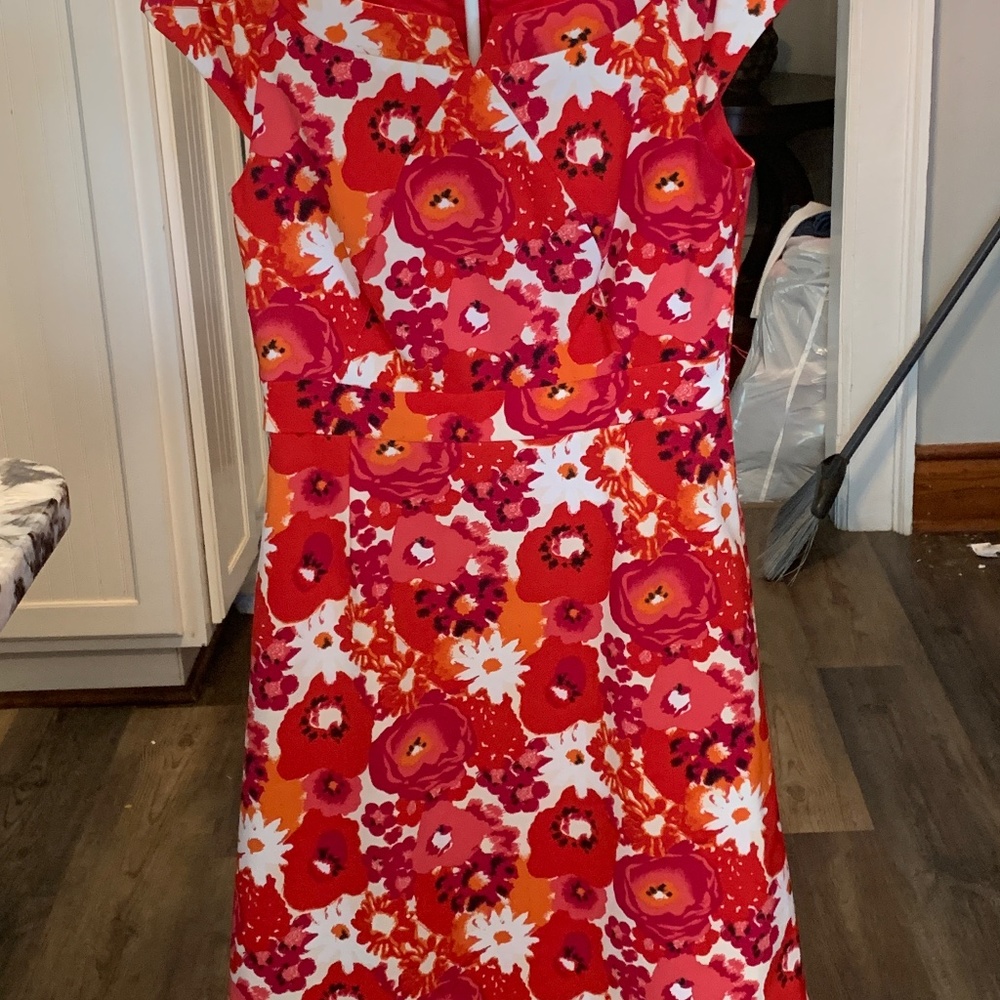 Isabella Demario for Tahari Levine floral dress. Fully lined. Never worn